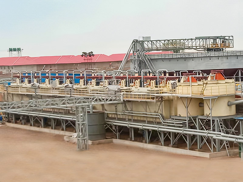 Zimbabwe Lepidolit 3000T/D Mineral Processing Project - Zhejiang Dingsen Holding Co., Ltd.